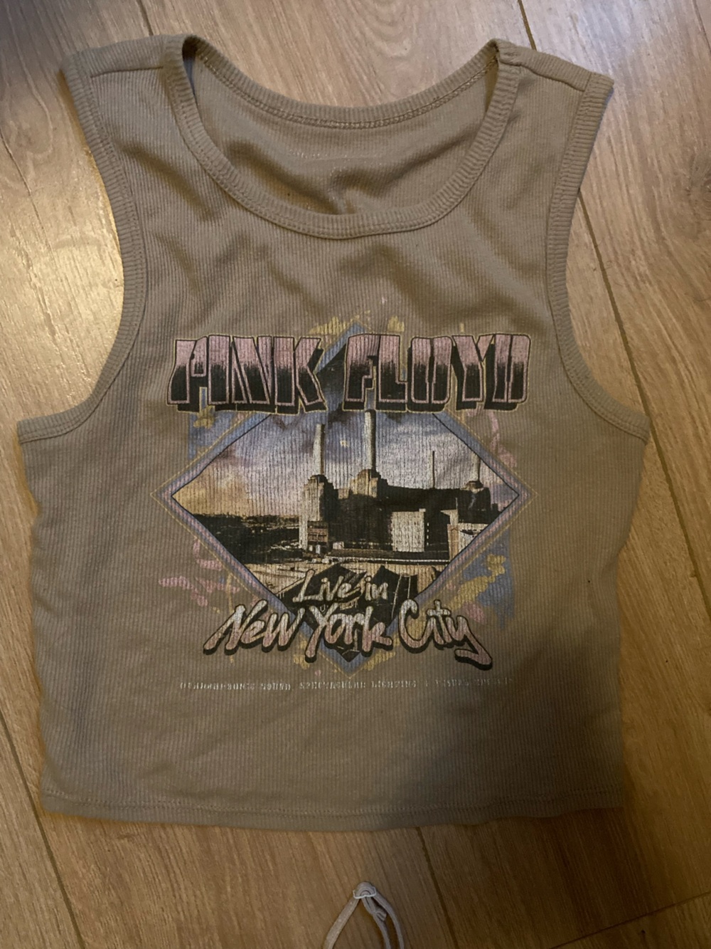 Soft grunge Pink Floyd Graphic muscle tee